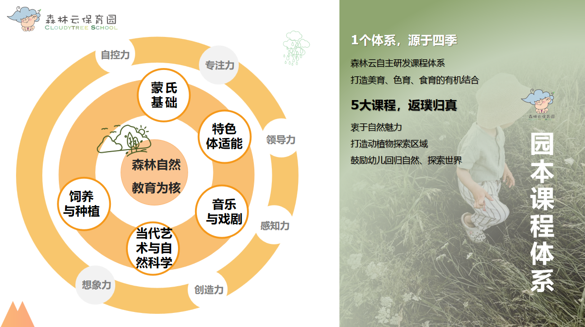 课程体系图
